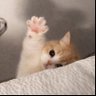 twovi's profile picture
