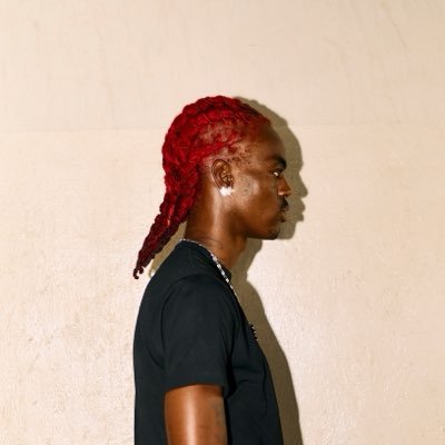 alorgisarebel's profile picture