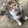 shirlseire profil fotoğrafı