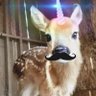 Pop sickle's profile picture
