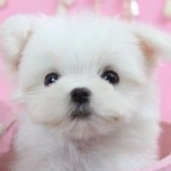 뿌..'s profile picture