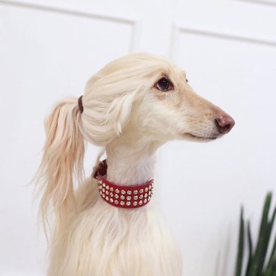 Pamchenkova's profile picture