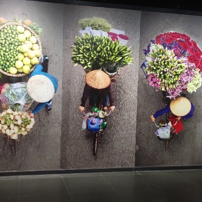 Ngọc123's profile picture