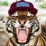 Goggo 🐅🇪🇬 的头像