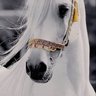 Фото профиля أم حور