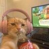 𝚗𝚒𝚛𝚊 🍌 profil fotoğrafı