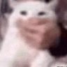 Profilbild von Ese_MuertøyL$M