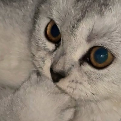 manonnkhyq's profile picture