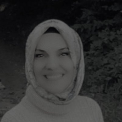 DrnSvm's profile picture