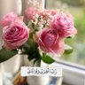 Фото профиля om ziad 💐