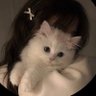 💙Sara 💙 profil fotoğrafı