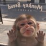 AudreyApple's profile picture