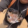 19 的头像