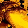 HONEYCOMB profil fotoğrafı