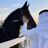 Profilbild von 𓆩 أ.الميموني 𓆪