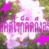 Profilbild von ผมเป็นเฮียหึหึงนะรู้ยังอ่ะซ้ออออ