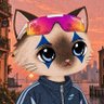 Cryptoshi profil fotoğrafı