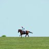 Фото профиля 🐎🇸🇦فرانكل