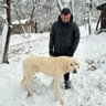 Фото профиля Şah veyahut mat