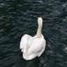 𝒫𝑒𝒶𝒸𝑒 profil fotoğrafı