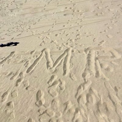 🍑 EMP MIXTAPE ⚡️'s profile picture