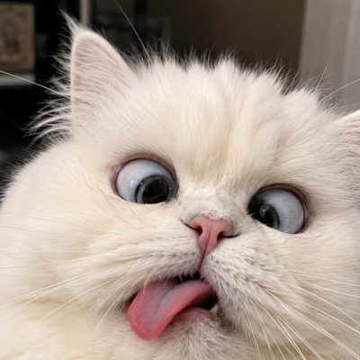 nacha_iii's profile picture
