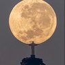 Фото профиля John Waddell