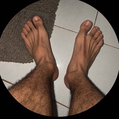 Mestre Monteiro's profile picture