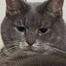 猫太郎 的头像