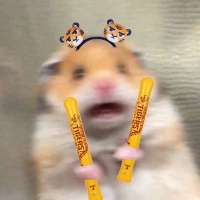 지 구's profile picture