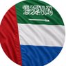 مِفلِحْ بِن حَمَد، 🔆 的头像