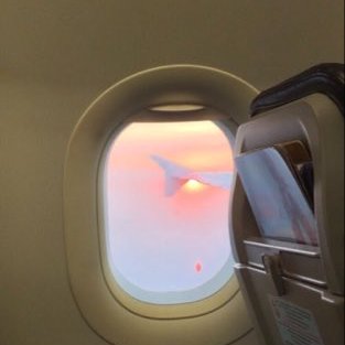 giarnogeovania's profile picture