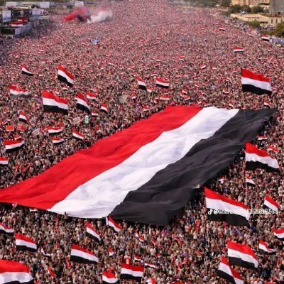 saif61963748's profile picture