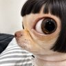 R_Haru🐦☿'s profile picture