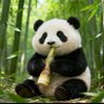 詹雅妮 profil fotoğrafı