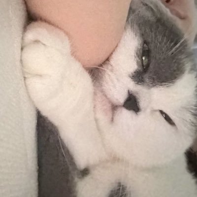 ..'s profile picture