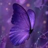Profilbild von Rhonda Whatley