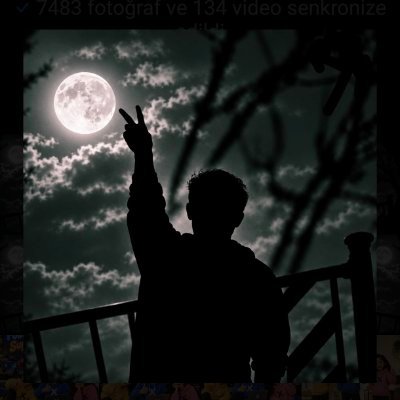 B0RANTEKiN's profile picture