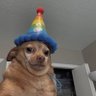POLO๐'s profile picture