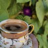 Фото профиля رغد المطيري