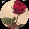 Фото профиля فـجـر الـغـلا🌹