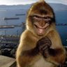 serat's profile picture