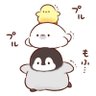 きよっち profil fotoğrafı