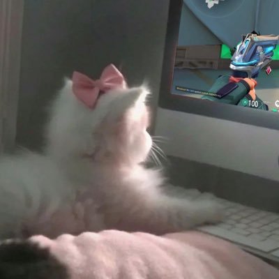 เบ้บบลู's profile picture