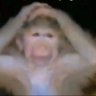 grompie's profile picture