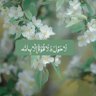 🇸🇦Abdulaziz M S's profile picture