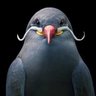 Christopher Klimczak profil fotoğrafı