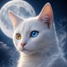 Маленький кот 的头像