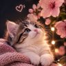 Фото профиля lili