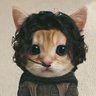 Profilbild von ian